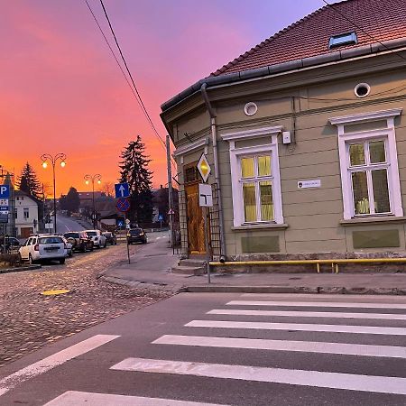 Guest House Hena Sfântu-Gheorghe 외부 사진