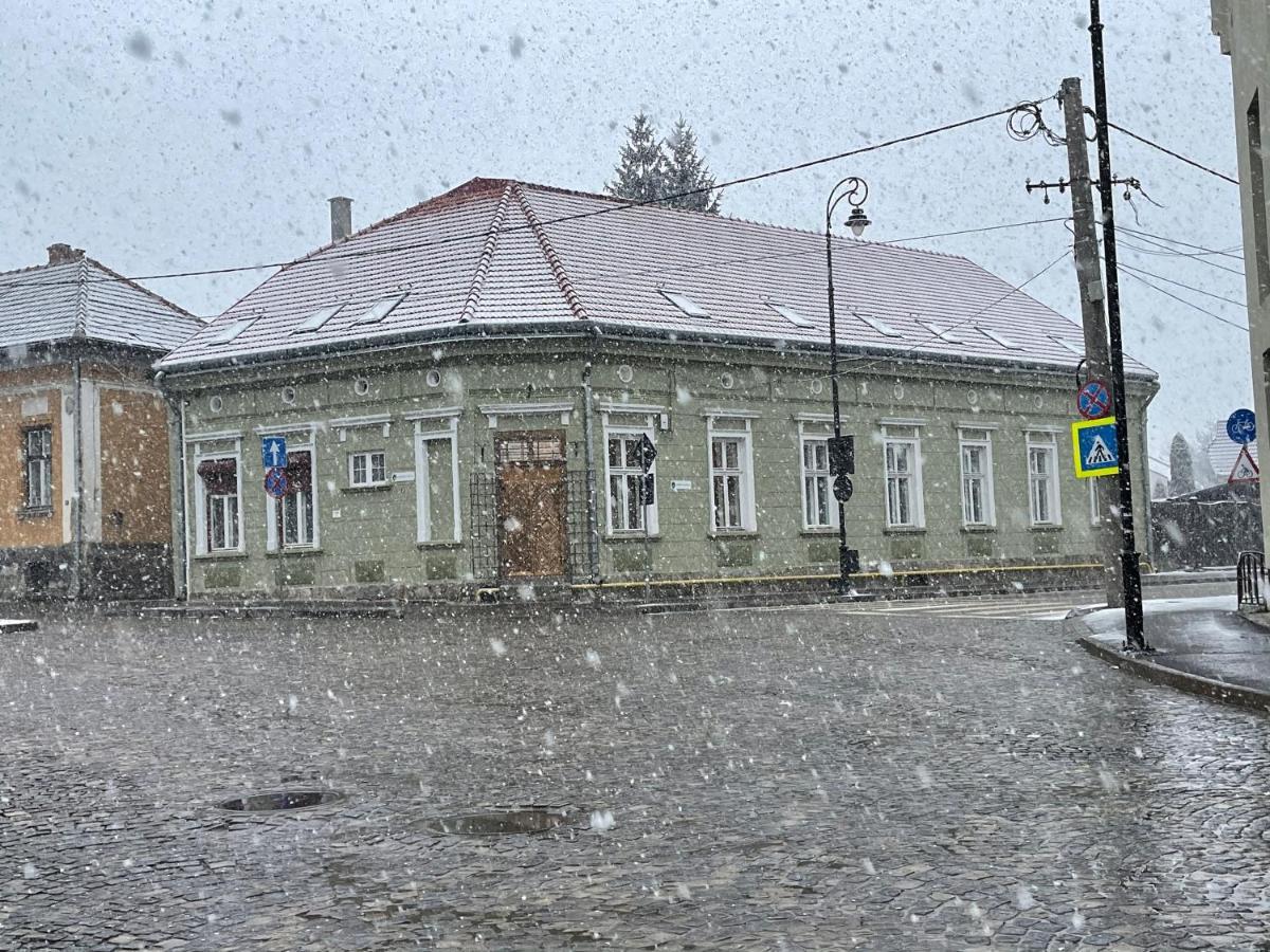 Guest House Hena Sfântu-Gheorghe 외부 사진